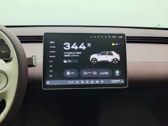 Nio Firefly Luminous Edition - ფოტო 13