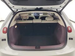 Nio Firefly Luminous Edition - ფოტო 4