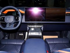 Zeekr 9X Obsidian Black 70kWh Six-Seater - ფოტო 14