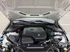 BMW 3 Series 320Li M Sport Package - photo 14