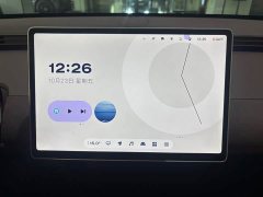 Nio firefly Edition 42.1kWh - ფოტო 14