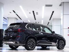 BMW X5 xDrive 40Li M Sport Package - фото 6