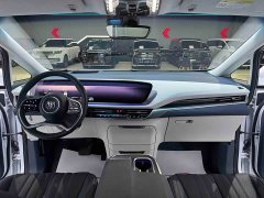Buick Century 2.0T Four-Seater Private Edition - ფოტო 11