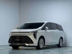 Buick Century 2.0T Four-Seater Private Edition - ფოტო 2