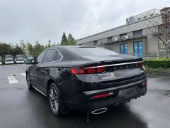 Geely Xingrui 2.0T Diesel Elite - photo 8
