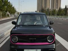 Geely Panda 210km Panda Kart - ფოტო 2