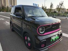 Geely Panda 210km Panda Kart - ფოტო 3