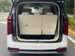 Great Wall WEY Shanshan New Energy Four-Wheel Drive Shanshan 7 - photo 6