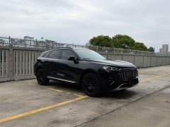 Great Wall Wei Brand Mocha New Energy 1.5T Zero-Anxiety Performance Edition - ფოტო 3