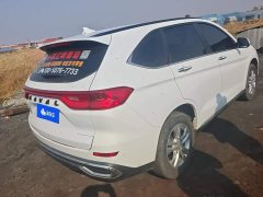 Haval M6 PLUS 1.5T DCT Luxury Smart Connected Edition - ფოტო 3