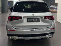 Mercedes-Benz Maybach GLS 600 4MATIC Lile Edition - фото 14