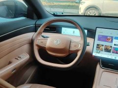 Dongfeng Fengshen L8 185KM Dream Edition - ფოტო 11