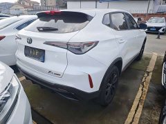 Changan X5 PLUS 1.5T DCT Pioneer Trim - photo 18