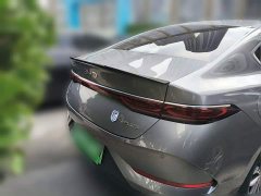 BYD Qin PLUS DM-i Smart Drive 128KM Entry-Level - фото 3