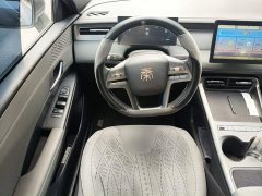 BYD Qin PLUS DM-i Smart Drive 128KM Entry-Level - фото 6