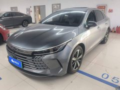 BYD Destroyer 05 Honor Edition DM-i 120KM Flagship - photo 1