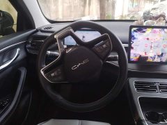 BYD Destroyer 05 Honor Edition DM-i 120KM Flagship - photo 15
