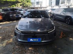 BYD Destroyer 05 Honor Edition DM-i 120KM Flagship - photo 2