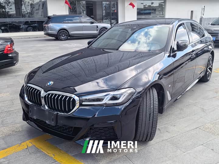 BMW 5 Series 530Li Luxury M Sport Package - автомобиль из Китая