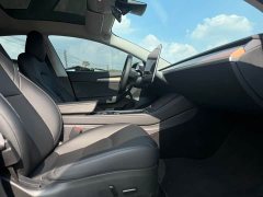 Tesla Model 3 Performance All-Wheel Drive - ფოტო 13