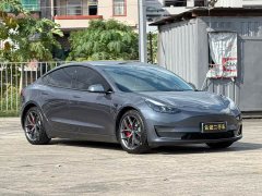 Tesla Model 3 Performance All-Wheel Drive - ფოტო 3