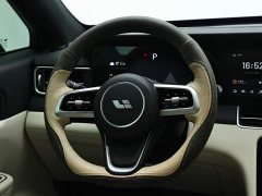 Li Auto ONE Extended Range 6-Seater - ფოტო 16