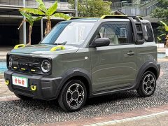 Geely Panda 210km Panda Knight - ფოტო 1