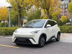 BYD Seagull Glory Edition 305km Vitality Version - photo 1