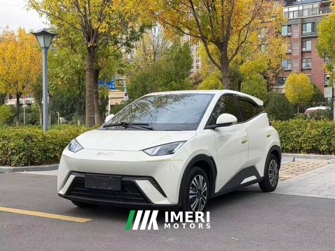 2024 BYD Seagull Glory Edition 305km Vitality Version - ავტომობილი ჩინეთიდან