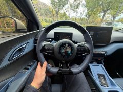 BYD Seagull Glory Edition 305km Vitality Version - photo 11