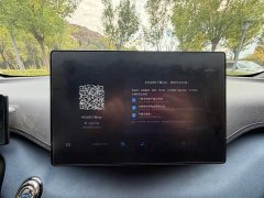 BYD Seagull Glory Edition 305km Vitality Version - photo 16