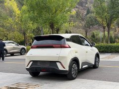 BYD Seagull Glory Edition 305km Vitality Version - photo 17