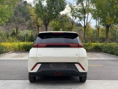 BYD Seagull Glory Edition 305km Vitality Version - photo 18