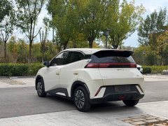 BYD Seagull Glory Edition 305km Vitality Version - photo 19