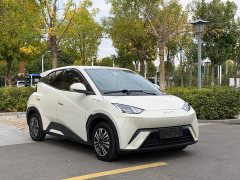 BYD Seagull Glory Edition 305km Vitality Version - photo 3