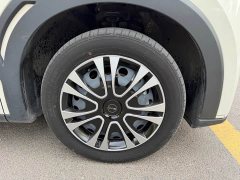 BYD Seagull Glory Edition 305km Vitality Version - photo 8
