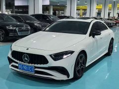 Mercedes-Benz CLS 300 Dynamic - фото 1