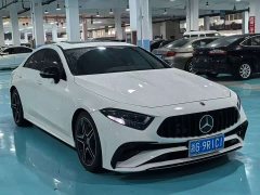 Mercedes-Benz CLS 300 Dynamic - фото 2