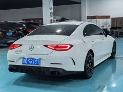 Mercedes-Benz CLS 300 Dynamic - фото 9