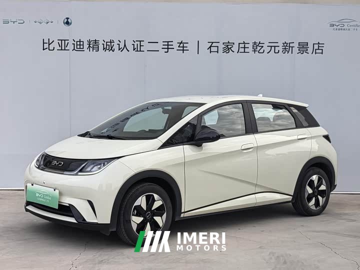 BYD Dolphin 420km Freedom Edition