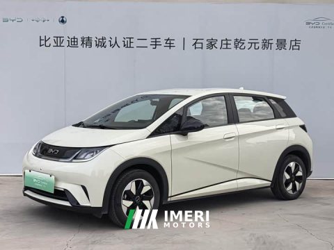 2024 BYD Dolphin 420km Freedom Edition - ავტომობილი ჩინეთიდან