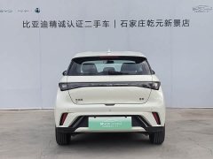 BYD Dolphin 420km Freedom Edition - ფოტო 4