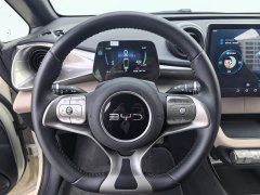 BYD Dolphin 420km Freedom Edition - ფოტო 8