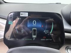 BYD Dolphin 420km Freedom Edition - ფოტო 9