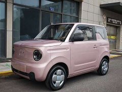 Geely Panda Mini 200km Endurance Edition - ფოტო 1