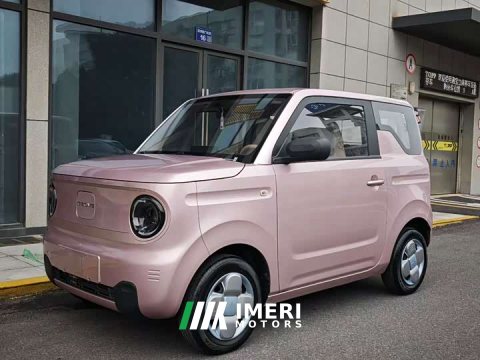 2024 Geely Panda Mini 200km Endurance Edition - автомобиль из Китая