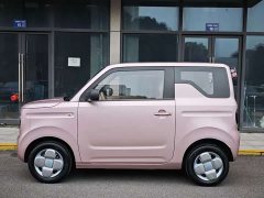 Geely Panda Mini 200km Endurance Edition - ფოტო 3