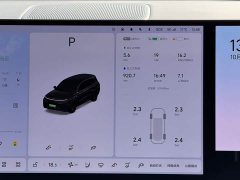 Li Auto L9 Pro - ფოტო 17