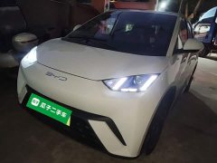 BYD Seagull Vitality Edition - ფოტო 1