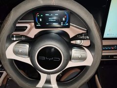 BYD Seagull Vitality Edition - ფოტო 10